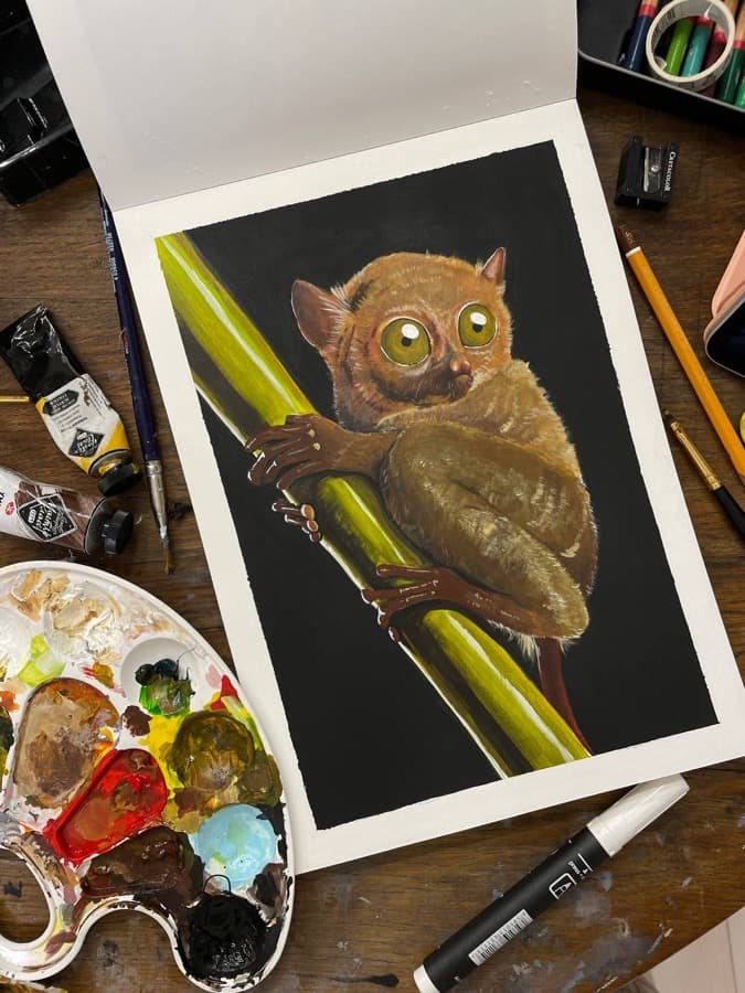 Tarsier, gouache