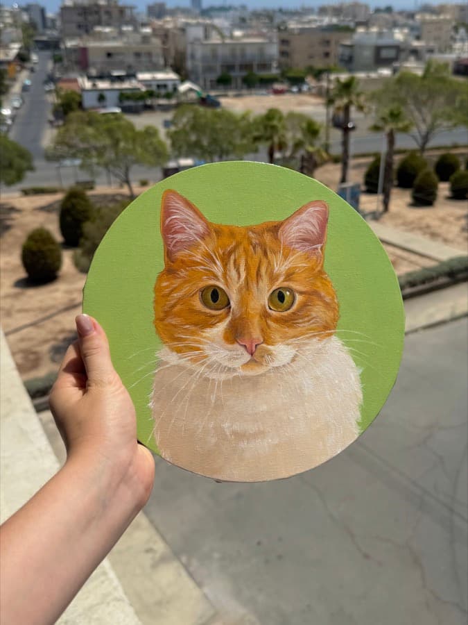 Ginger cat, oil